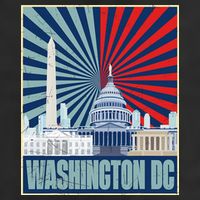 Retro Capitol Hill Washington DC American Flag Hat