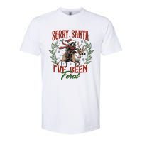 Raccoon Christmas Holiday Sorry Santa Ive Been Feral Softstyle CVC T-Shirt