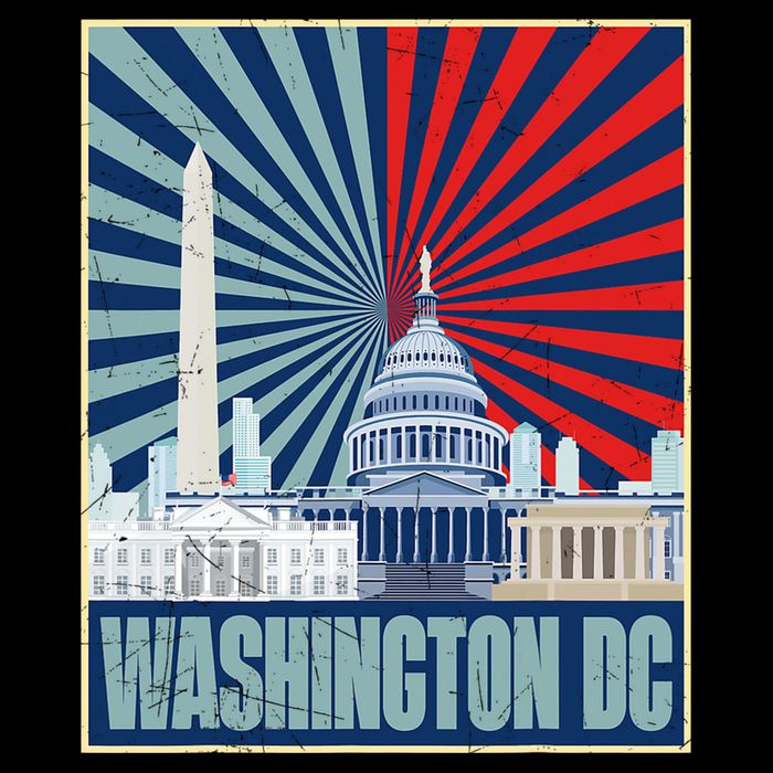 Retro Capitol Hill Washington DC American Flag Cooling Performance Crew T-Shirt