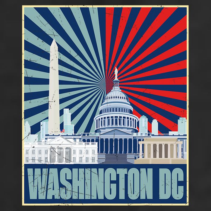 Retro Capitol Hill Washington DC American Flag Adult Drive Performance Visor