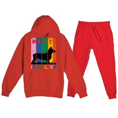 Retro Corgi Is My Love Premium Hooded Sweatsuit Set