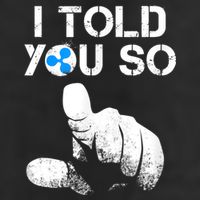 Ripple Crypto I TOLD YOU SO To Buy XRP BULLRUN Trading Joke Garment-Dyed Fleece Hoodie