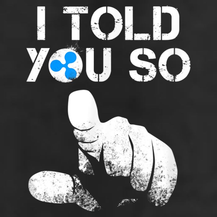 Ripple Crypto I TOLD YOU SO To Buy XRP BULLRUN Trading Joke Garment-Dyed Fleece Hoodie