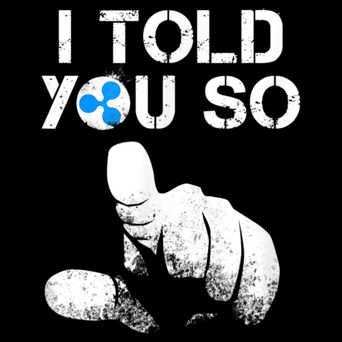Ripple Crypto I TOLD YOU SO To Buy XRP BULLRUN Trading Joke Drawstring Bag