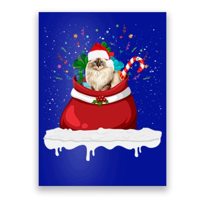 Ragdoll Cat In Santa Hat Christmas Holiday Design Cat Lover Poster