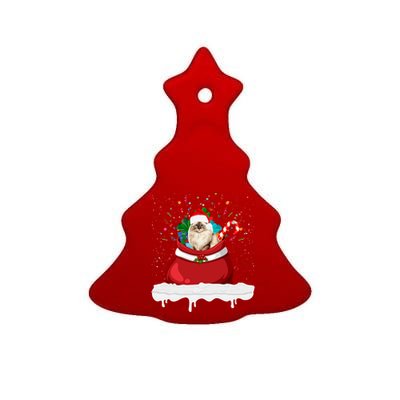 Ragdoll Cat In Santa Hat Christmas Holiday Design Cat Lover Ceramic Tree Ornament