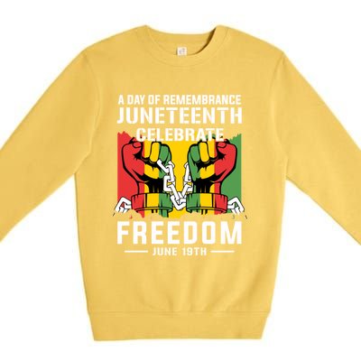 Remembrance Celebrate/Freedom Junenth Black History Pride Gift Premium Crewneck Sweatshirt