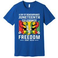 Remembrance Celebrate/Freedom Junenth Black History Pride Gift Premium T-Shirt