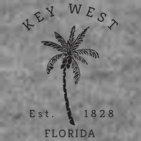 Retro Cool Key West Florida Palm Tree Novelty Tall Hoodie