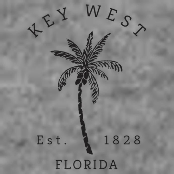 Retro Cool Key West Florida Palm Tree Novelty Tall Hoodie