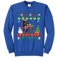 Rottweiler Christmas Lights Funny Xmas Dog Gift Tall Sweatshirt