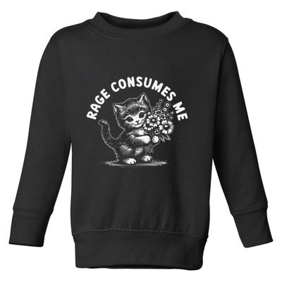 Rage Consumes Me Cat Funny Hilarious Kitten Meme Toddler Sweatshirt