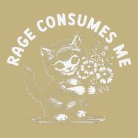 Rage Consumes Me Cat Funny Hilarious Kitten Meme Sustainable Beanie