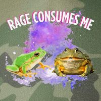 Rage Consumes Me Meme Oddly Specific Memes Funny Memes Frog Legacy Tie Dye Trucker Hat