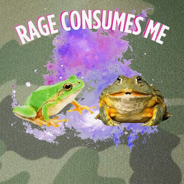 Rage Consumes Me Meme Oddly Specific Memes Funny Memes Frog Legacy Tie Dye Trucker Hat