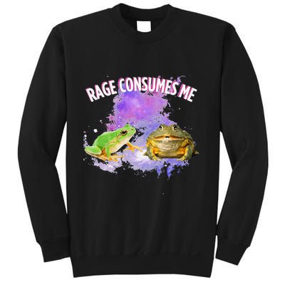 Rage Consumes Me Meme Oddly Specific Memes Funny Memes Frog Sweatshirt