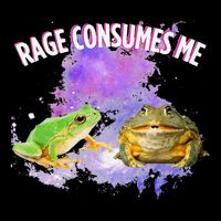 Rage Consumes Me Meme Oddly Specific Memes Funny Memes Frog Sustainable Bucket Hat