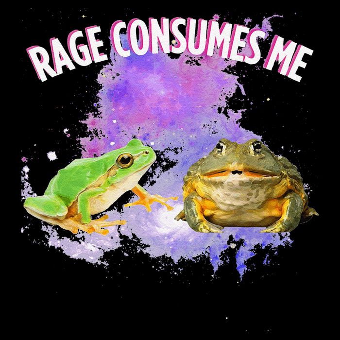 Rage Consumes Me Meme Oddly Specific Memes Funny Memes Frog Sustainable Bucket Hat