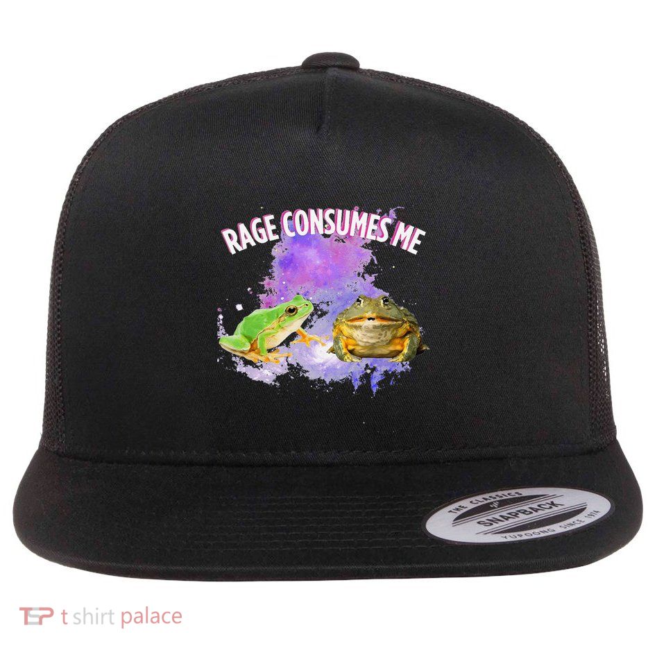 Rage Consumes Me Meme Oddly Specific Memes Funny Memes Frog Flatbill Hat