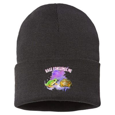 Rage Consumes Me Meme Oddly Specific Memes Funny Memes Frog Sustainable Knit Beanie