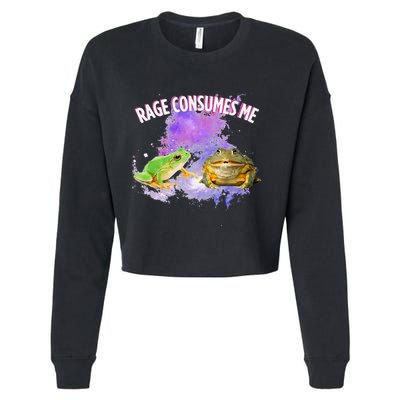 Rage Consumes Me Meme Oddly Specific Memes Funny Memes Frog Cropped Pullover Crew