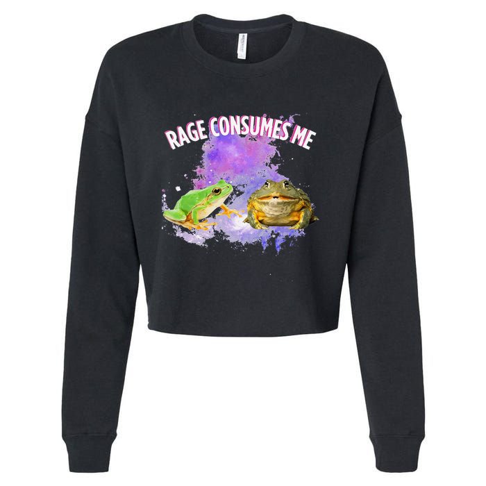 Rage Consumes Me Meme Oddly Specific Memes Funny Memes Frog Cropped Pullover Crew