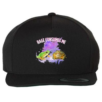 Rage Consumes Me Meme Oddly Specific Memes Funny Memes Frog Wool Snapback Cap