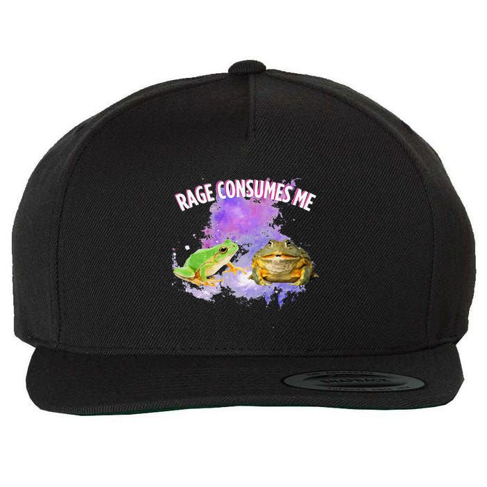 Rage Consumes Me Meme Oddly Specific Memes Funny Memes Frog Wool Snapback Cap