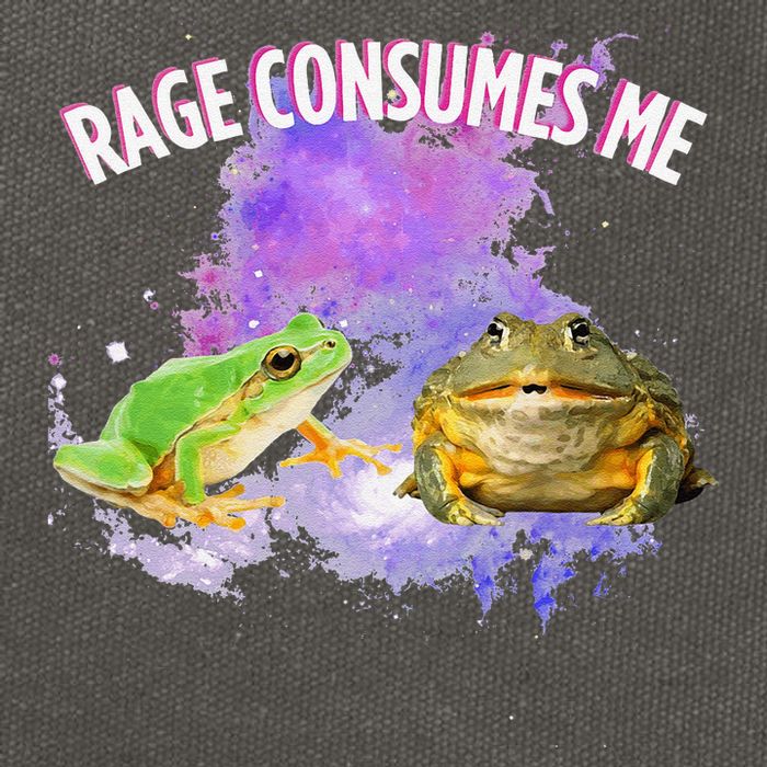Rage Consumes Me Meme Oddly Specific Memes Funny Memes Frog Cotton Canvas Backpack