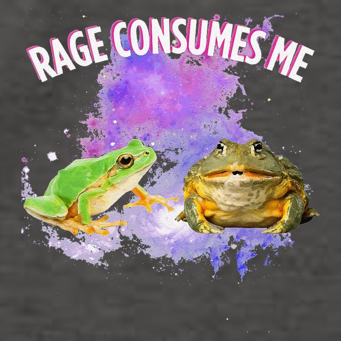 Rage Consumes Me Meme Oddly Specific Memes Funny Memes Frog Vector Backpack