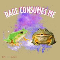 Rage Consumes Me Meme Oddly Specific Memes Funny Memes Frog T-Shirt