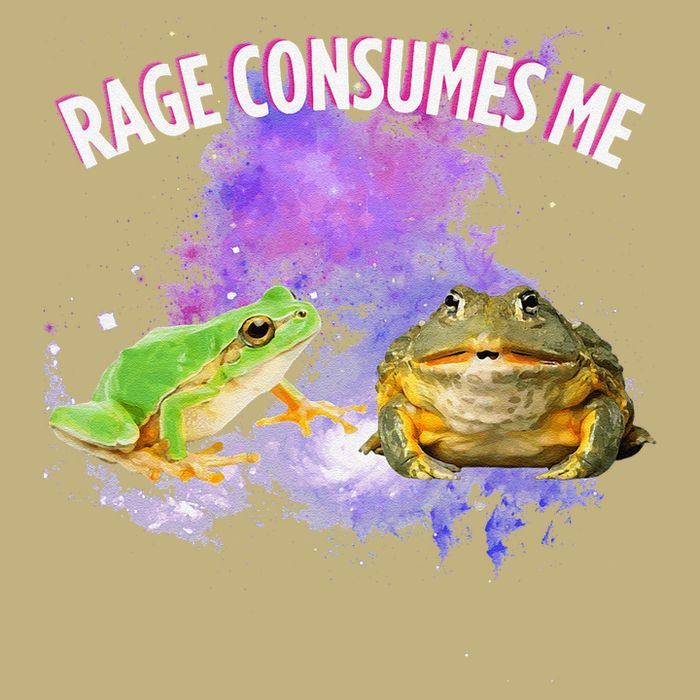 Rage Consumes Me Meme Oddly Specific Memes Funny Memes Frog Button