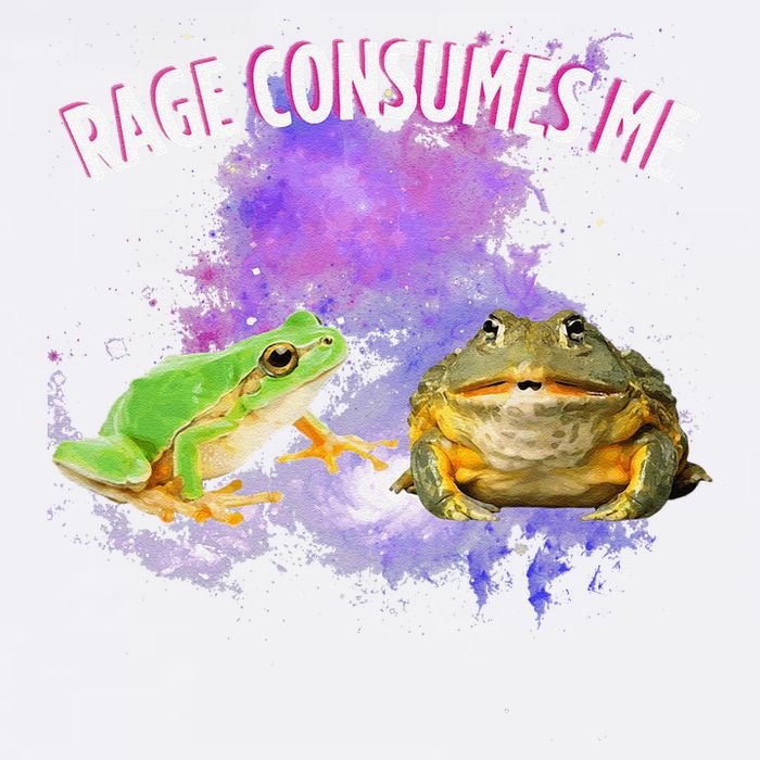 Rage Consumes Me Meme Oddly Specific Memes Funny Memes Frog Garment-Dyed Sweatshirt