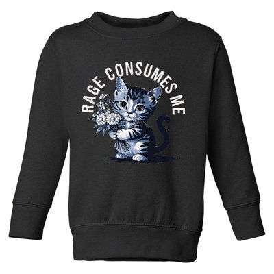 Rage Consumes Me Funny Cat Meme Toddler Sweatshirt