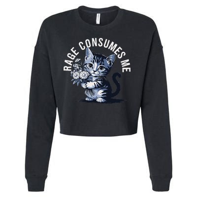 Rage Consumes Me Funny Cat Meme Cropped Pullover Crew