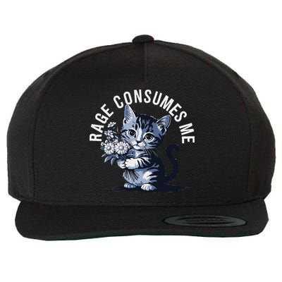 Rage Consumes Me Funny Cat Meme Wool Snapback Cap