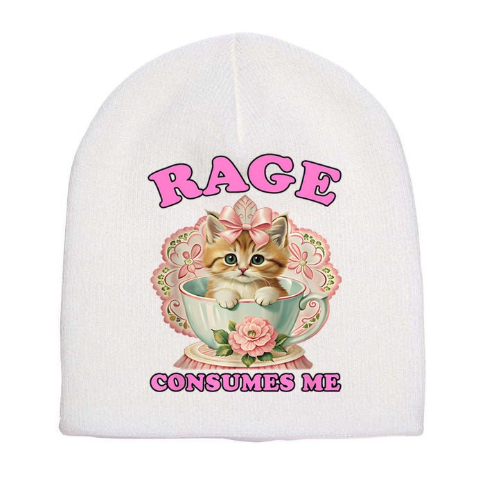 Rage Consumes Me Funny Kitten Cat Mental Health Meme Retro Short Acrylic Beanie