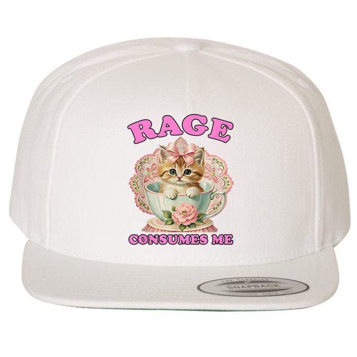 Rage Consumes Me Funny Kitten Cat Mental Health Meme Retro Wool Snapback Cap