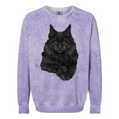 Realistic Cute Maine Coon Cat Sitting For Lovers Animals Colorblast Crewneck Sweatshirt