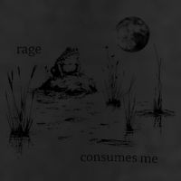 Rage Consumes Me Frog Funny 7 Panel Mesh Trucker Snapback Hat