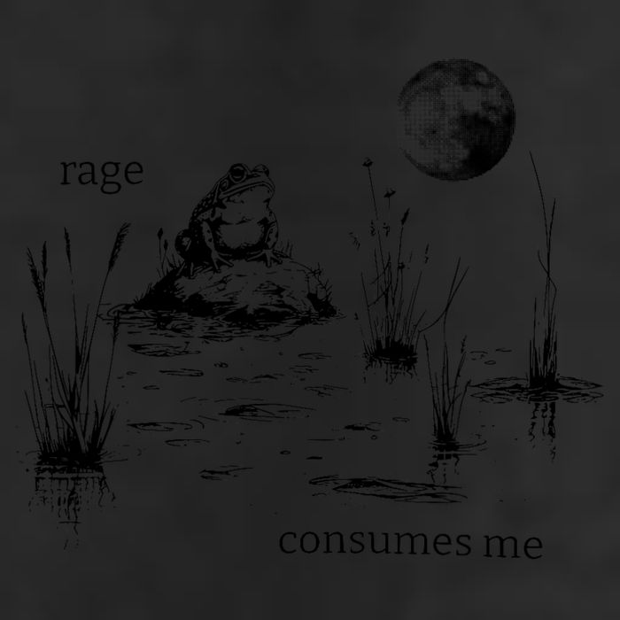 Rage Consumes Me Frog Funny 7 Panel Mesh Trucker Snapback Hat