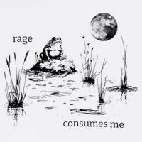 Rage Consumes Me Frog Funny Cooling Performance Crew T-Shirt