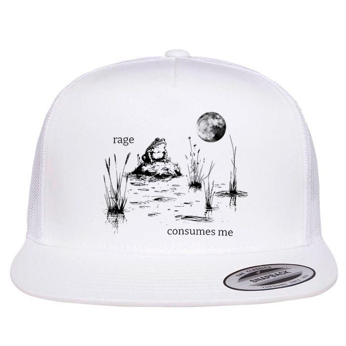 Rage Consumes Me Frog Funny Flat Bill Trucker Hat