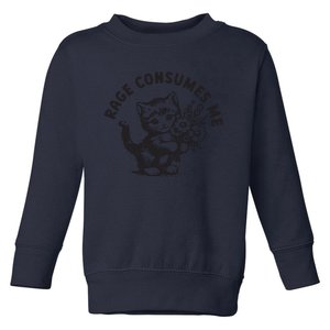 Rage Consumes Me Weirdcore Funny Hilarious Kitten Meme Toddler Sweatshirt