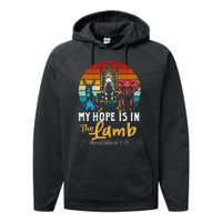 Retro Christian My Hope Is In Lamb Jesus Religious Scripture Performance Fleece Hoodie