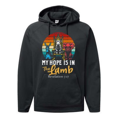 Retro Christian My Hope Is In Lamb Jesus Religious Scripture Performance Fleece Hoodie