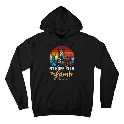 Retro Christian My Hope Is In Lamb Jesus Religious Scripture Hoodie