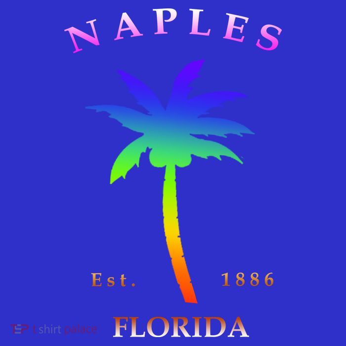 Retro Cool Original Naples Florida Beach Palm Tree Gift Tall T-Shirt