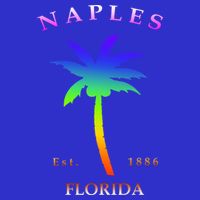 Retro Cool Original Naples Florida Beach Palm Tree Gift Zip Tote Bag