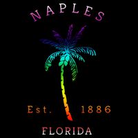 Retro Cool Original Naples Florida Beach Palm Tree 16 in Basic Backpack